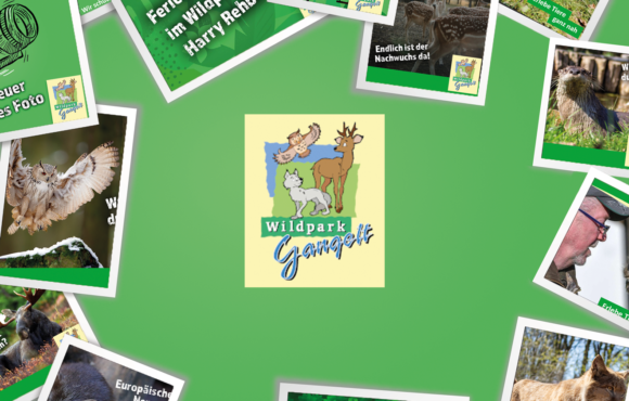 Social Media Wildpark Gangelt
