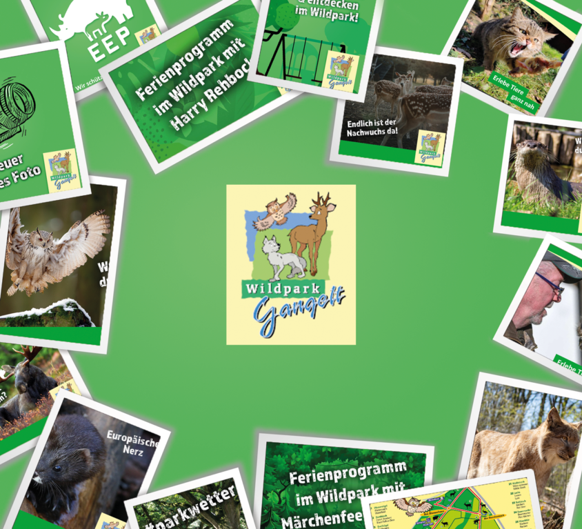 Social Media Wildpark Gangelt